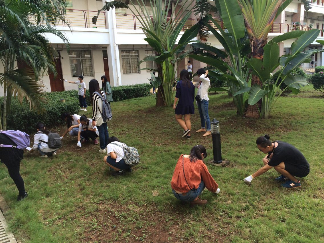 助力双创，经管在路上——记经济与管理学院“双创”校园清洁活动