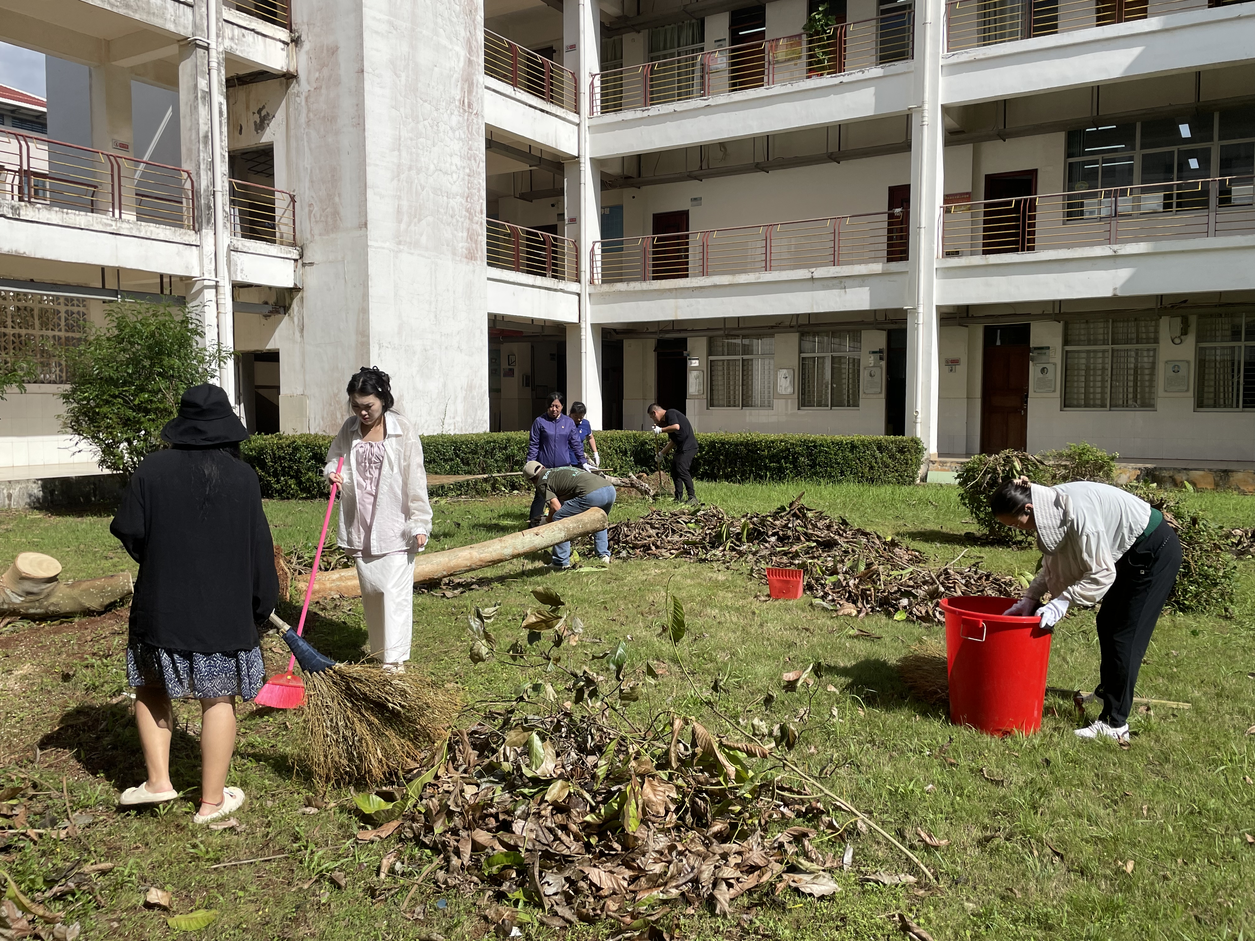 学院领导带领师生开展校园恢复及树木抢救工作